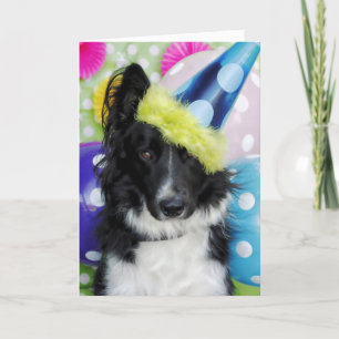 Gräns Collie Birthday Card Kort