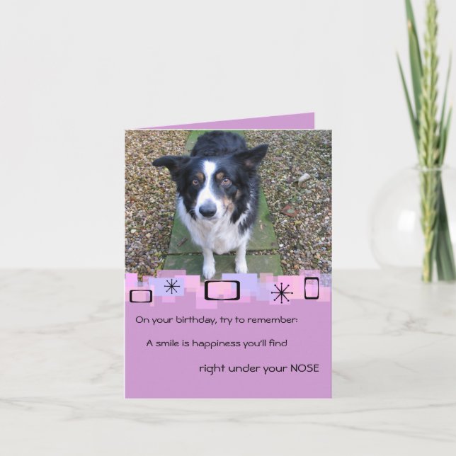 Gräns Collie Birthday Greeting Card Kort (Framsida)