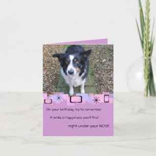 Gräns Collie Birthday Greeting Card Kort