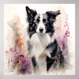 Gräns Collie Bläck Porträtt Poster