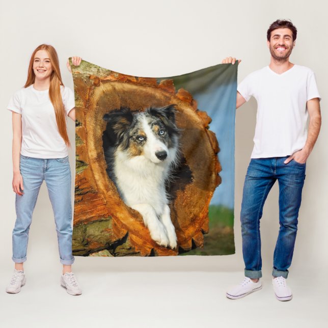 Gräns Collie Blue Merle Hund Cute Porträtt Photo - Fleecefilt (På plats)