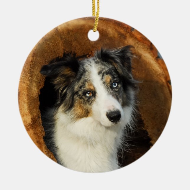 Gräns Collie Blue Merle Hund hang Decor Julgransprydnad Keramik (Framsidan)