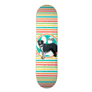 Gräns Collie, Bright Rainbow Rand Skateboard Bräda 21,5 Cm
