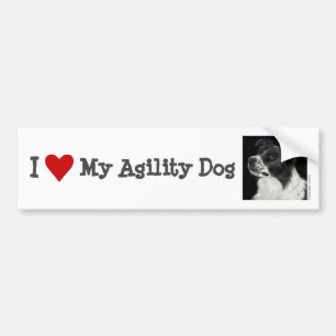 Gräns Collie Bumper Sticker - "Ben" 2 Bildekal