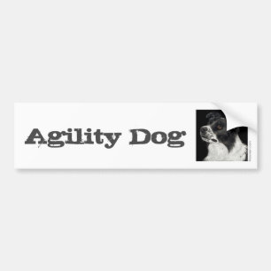 Gräns Collie Bumper Sticker - "Ben" 3 Bildekal