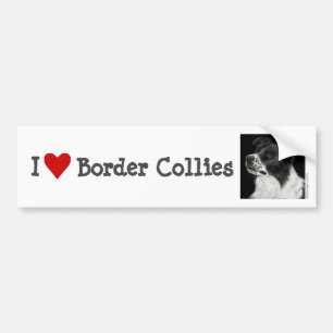 Gräns Collie Bumper Sticker - "Ben" Bildekal