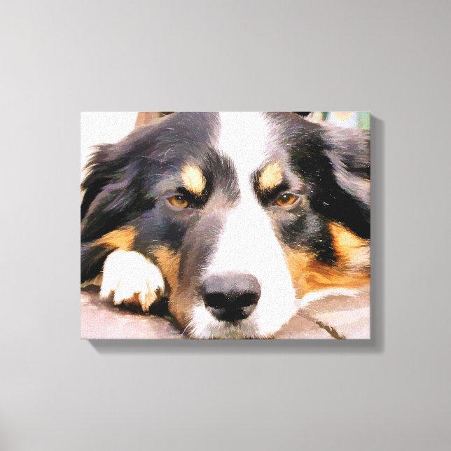 GRÄNS COLLIE CANVASTRYCK (Framsida)