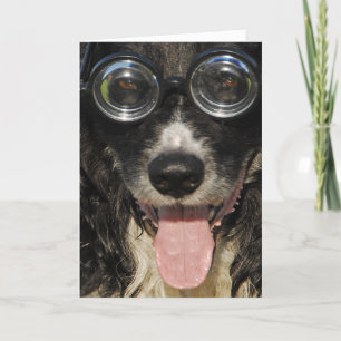 Gräns Collie Card Helgkort