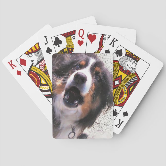 GRÄNS COLLIE CASINOKORT (Baksidan)