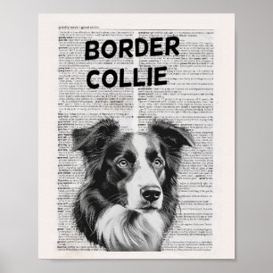 Gräns Collie Dictionary Page-teckning Poster