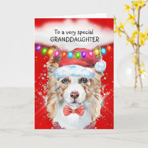 Gräns Collie-dotterdotterdotter Jul önskemål Santa Kort