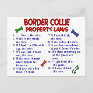 GRÄNS COLLIE Egendom-lagstiftning 2 Vykort