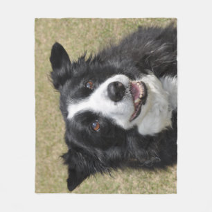 Gräns collie fleecefilt