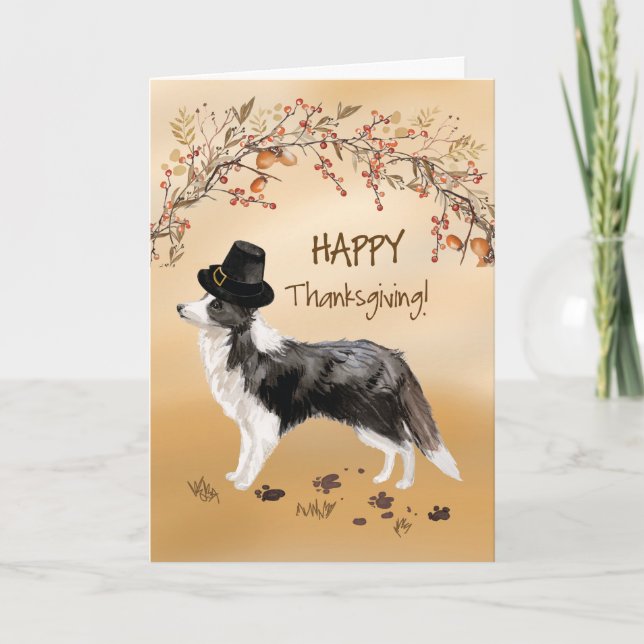 Gräns Collie Funny Pilgrim Hat Thanksgiving Kort (Framsida)
