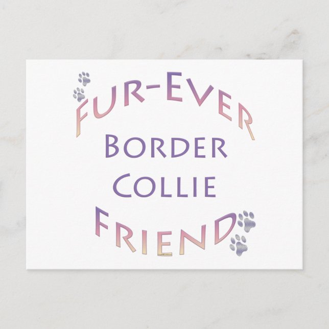 Gräns Collie Furever Vykort (Framsida)