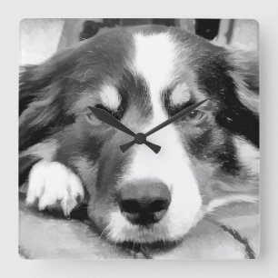 GRÄNS COLLIE FYRKANTIG KLOCKA