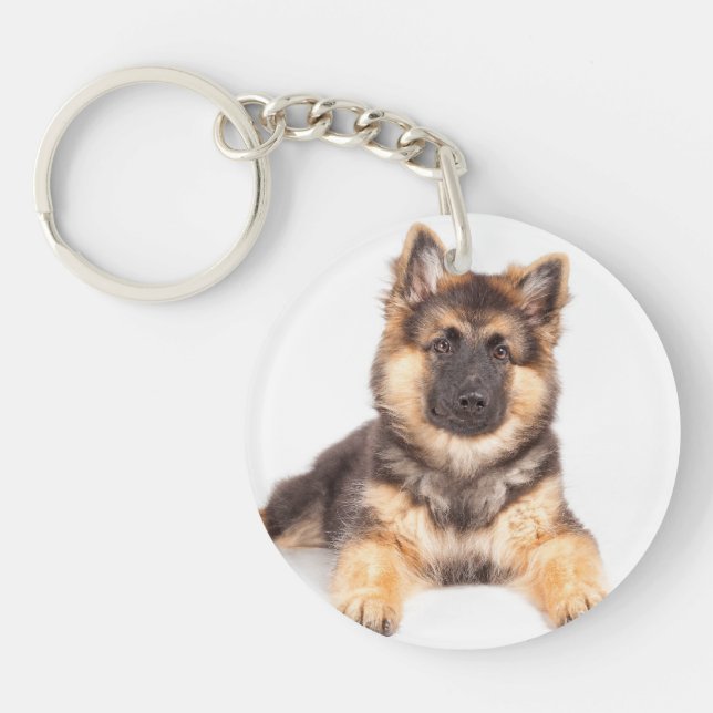 Gräns Collie German Shepherd Mix (Framsidan)