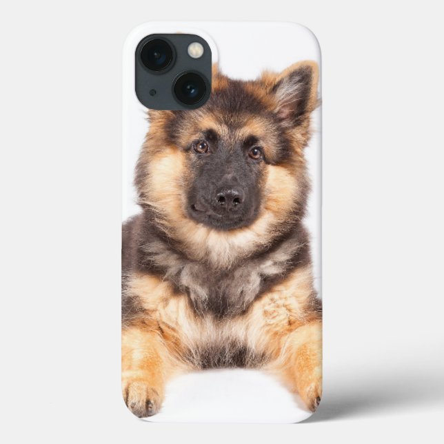 Gräns Collie German Shepherd Mix (Baksida)
