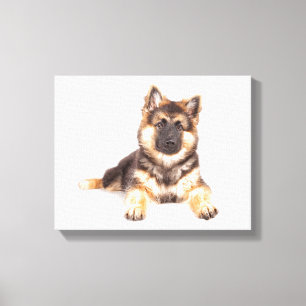 Gräns Collie German Shepherd Mix Canvastryck