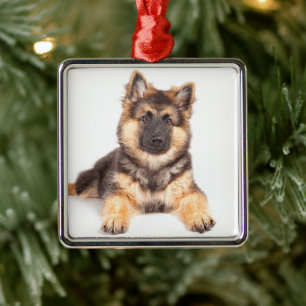 Gräns Collie German Shepherd Mix Julgransprydnad Metall