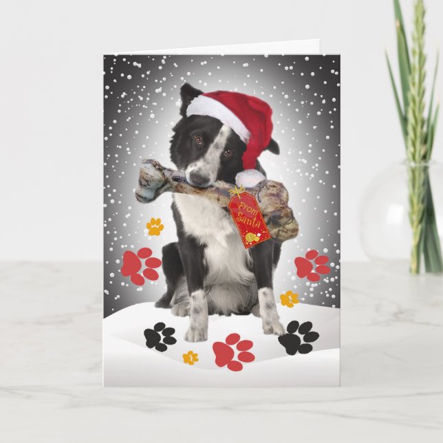 Gräns Collie Gift från julkort Helgkort (Framsida)