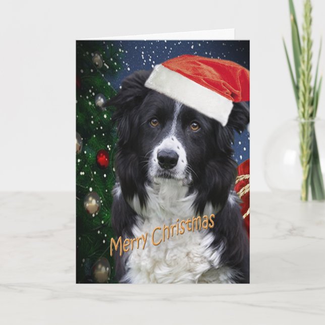 GRÄNS COLLIE GOD JUL kort (Framsida)
