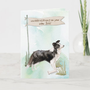 Gräns Collie-Grattisar på New Hund Kort