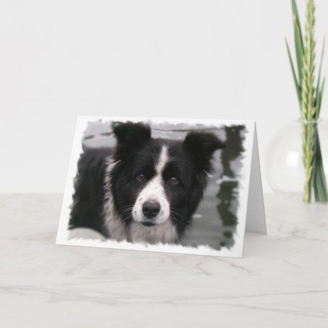 Gräns Collie Greeting Card Kort (Framsida)