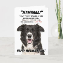 Gräns Collie Greeting Card