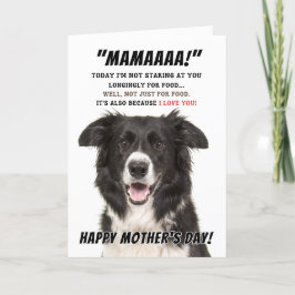 Gräns Collie Greeting Card Tack Kort