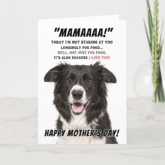 Gräns Collie Greeting Card Tack Kort