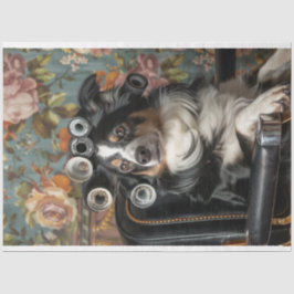 Gräns Collie Hair cut Stil Pampered Decoupage