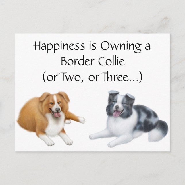 Gräns Collie Happiness vycard Vykort (Framsida)