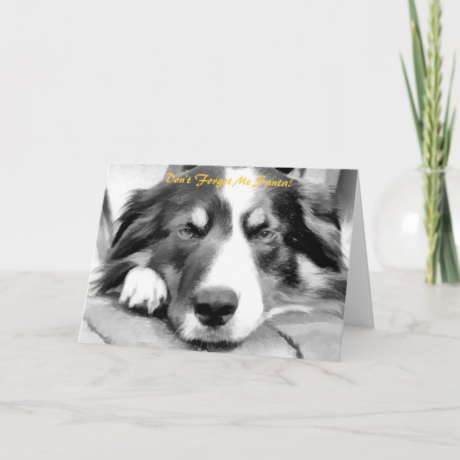 GRÄNS COLLIE HELGKORT (Framsida)