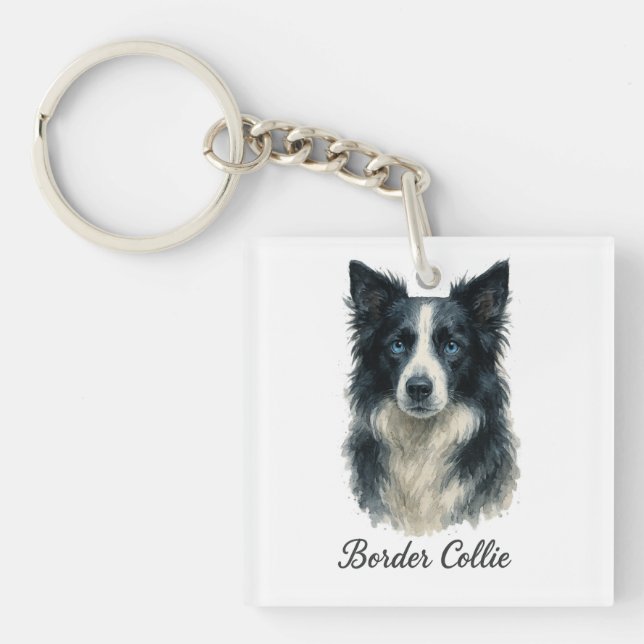 Gräns Collie hund (Framsidan)