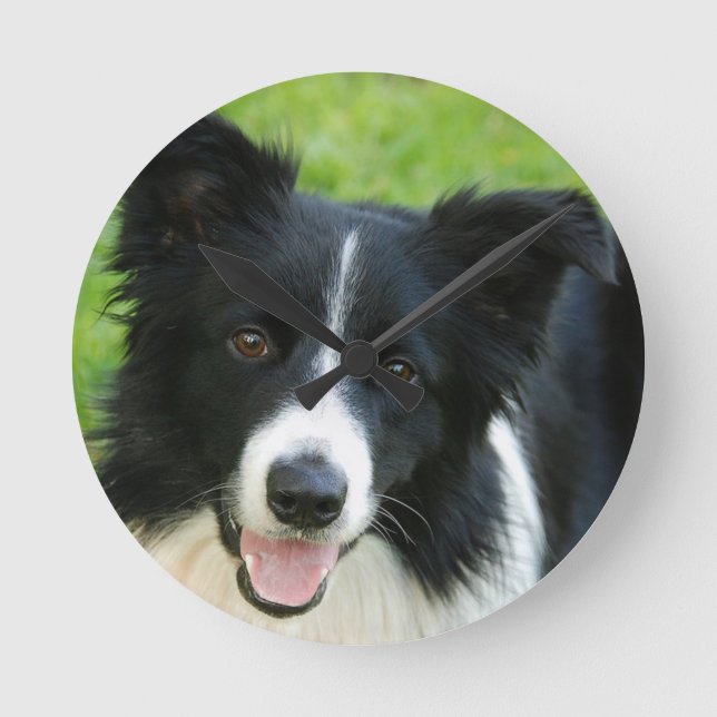 Gräns Collie Hund Add Text Pet Rund Klocka (Framsida)