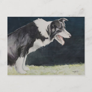 Gräns Collie Hund Art-vykort Vykort