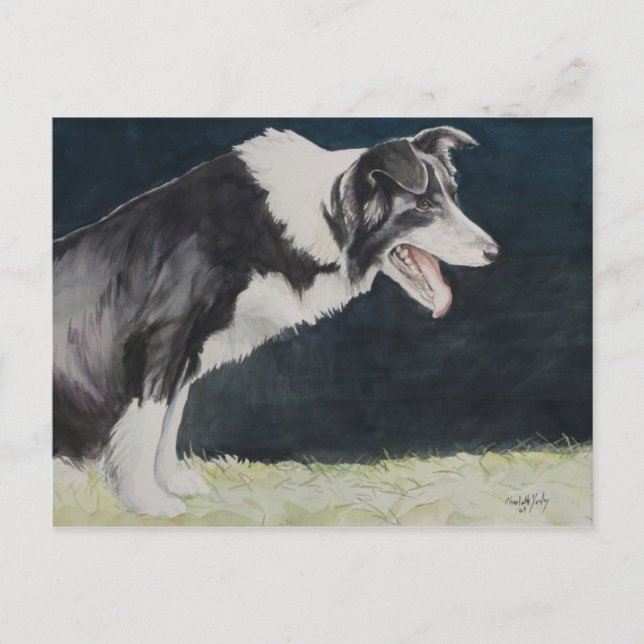 Gräns Collie Hund Art-vykort Vykort (Framsida)