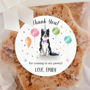 Gräns Collie Hund Birthday Tack Runt Klistermärke