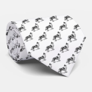Gräns Collie Hund Black White Slips