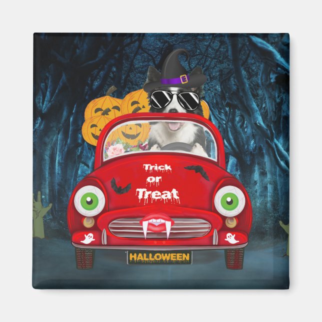 Gräns Collie Hund Driving Car Scary Halloween Magnet (Framsidan)