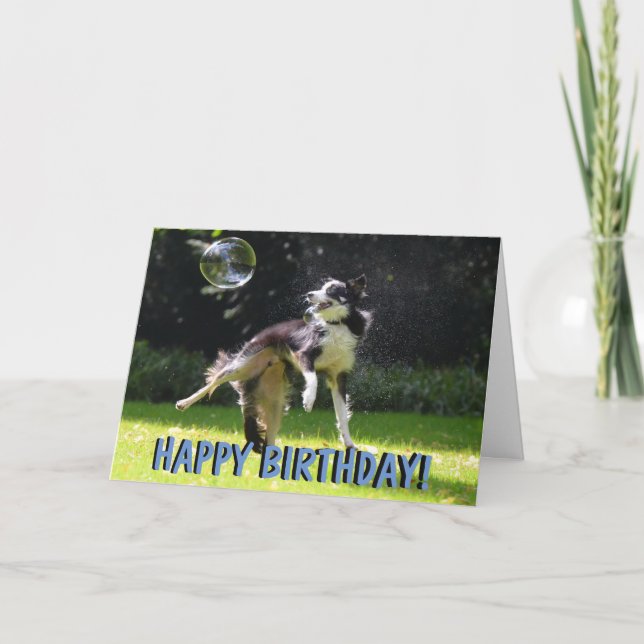 Gräns collie hund födelsedagskort kort (Framsida)