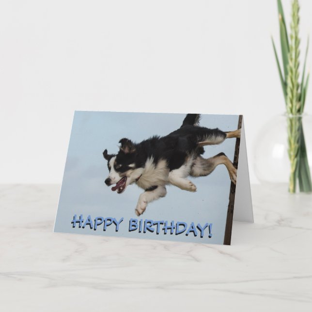 Gräns collie hund födelsedagskort kort (Framsida)