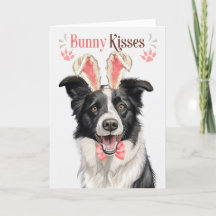Gräns Collie Hund i Bunny Öron för Påsk