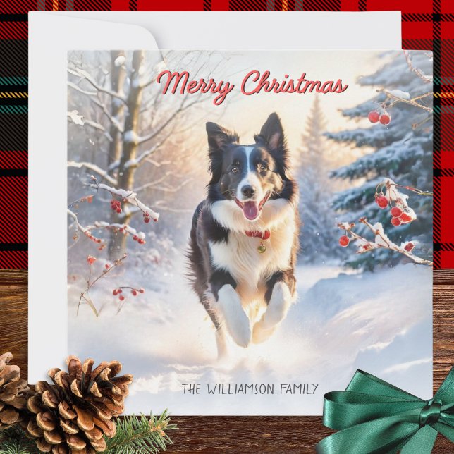 Gräns Collie Hund i Snö God jul Julkort (A personalized Christmas card with illustration of a black and white border collie and winter snow)