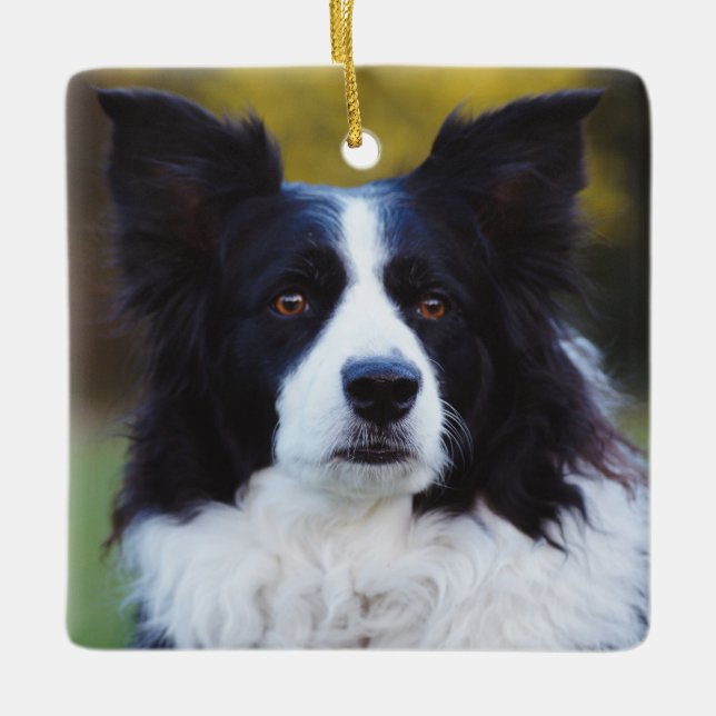 Gräns Collie Hund Julgransprydnad Keramik (Framsida)
