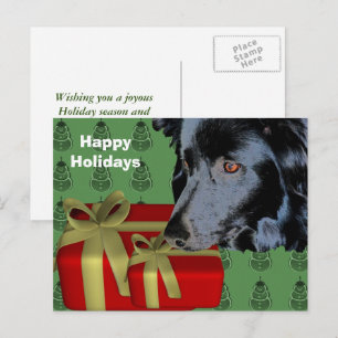 Gräns Collie Hund julkort Helgdag vykort