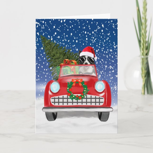 Gräns Collie Hund-körbil vid jul i Snö Program (Framsida)