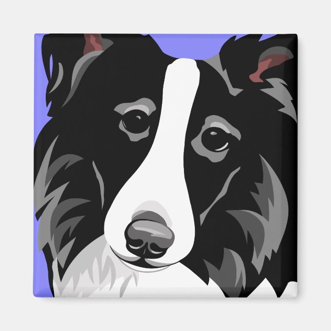 Gräns Collie Hund Magnet (Framsidan)
