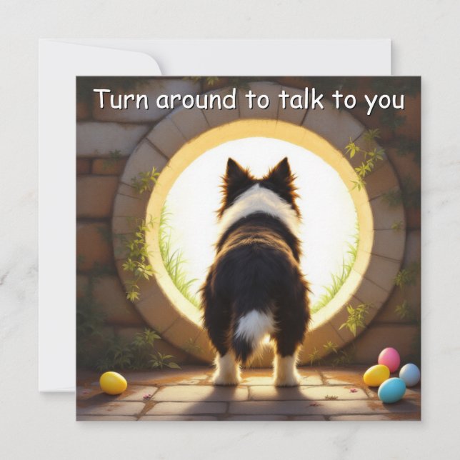 Gräns Collie hund - med Familj Namn Julkort (Framsida)